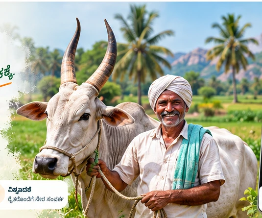 ರೈತ ಮತ್ತು ಹಸು — ಪಶುಪಾಲನೆಯ ನೋಟ